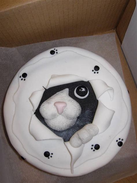 Pin By Denise Reed On Cat Cakes Cat Cake Birthday Cake For Cat Cat