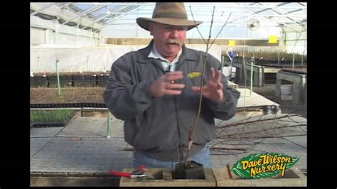 We did not find results for: Grafting Fruit Trees - YouTube