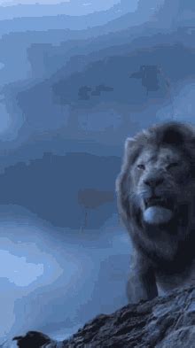 Roaring Lion GIF Roaring Lion Discover Share GIFs