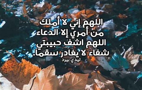 اختفت الحكة من اول اسبوع، وتم شفاء الآفات الجلدية خلال أسبوعين بالإضافة لتحسن ملحوظ في تساقط الشعر (15). دعاء شفاء حبيبتي - ليدي بيرد