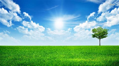 Free Download Bright Sunny Day Wallpaper 1366x768 For Your Desktop
