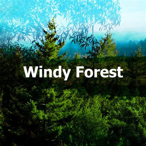 Windy Forest Album By Ambient Forest Spotify