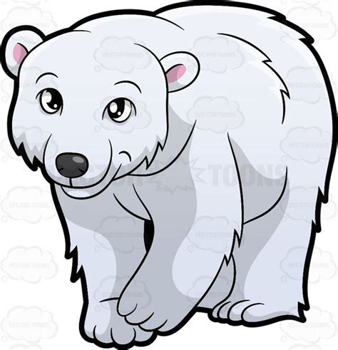 A Friendly Looking Polar Bear Cartoon Drawings Of Animals Polar Bear