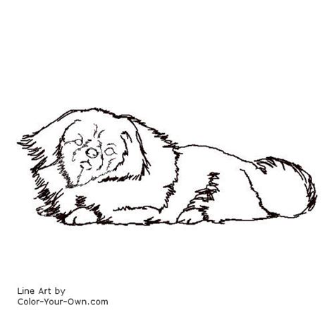 Download Pekinese Dog Coloring Page