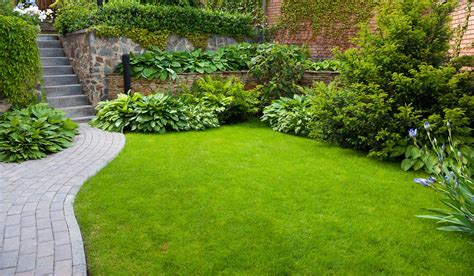 5 Ways To Make Your Lawn Stand Out 2022 Guide Webstame