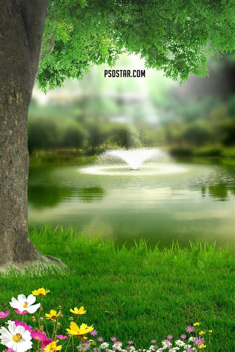 Natural Portrait Background With Tree Hd 2019 Studio Background