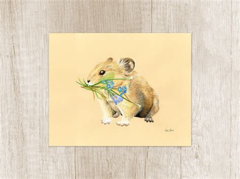 Pika Art Print Wall Art For Wildlife And Animal Lovers Home Etsy
