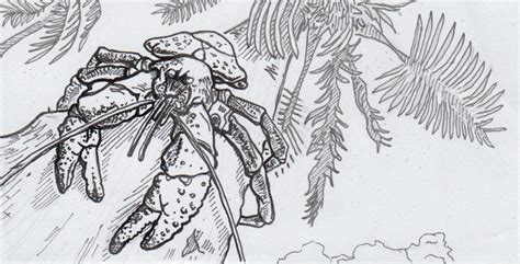 Find & download the most popular coconut drawing vectors on freepik free for commercial use high quality images made for creative projects. Colossal crabs with claws for carrion, cannibalism, but ...