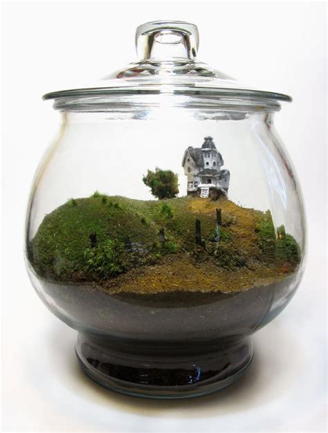 Learn How To Make A Diy Terrarium In 3 Easy Steps