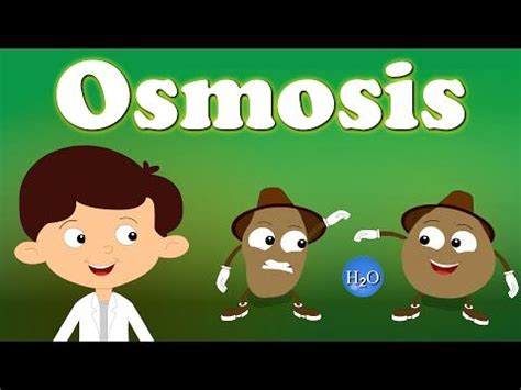 Diffusion can be classified into two main types: Osmosis | Biology classroom, Osmosis, Life science activities