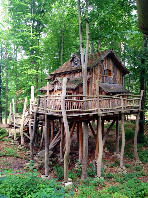 Tree House At Tripsdrill Adventure Park Germany Tree House Cool Tree