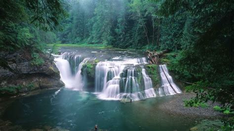 Forests Falls National Rivers Washington Wallpapers Hd Desktop