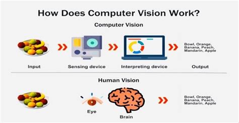 Computer Vs Human Vision Download Scientific Diagram