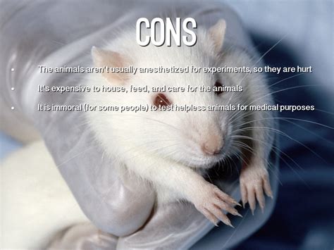 Animal Testing Moral Dilemma by lja2492