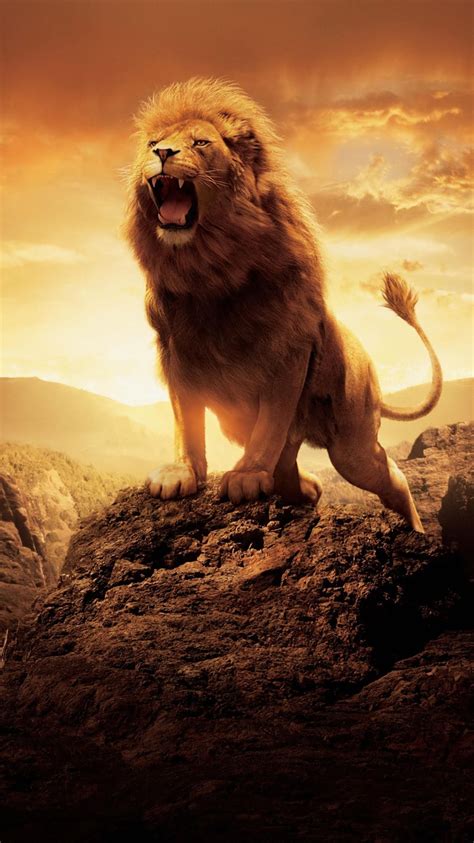 The Chronicles Of Narnia The Lion The Witch And The Wardrobe Wallpapers Wallpaper Cave
