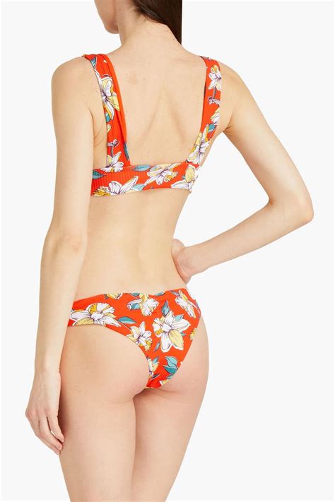Eberjey Hibiscus Calix Floral Print Ribbed Low Rise Bikini Briefs The