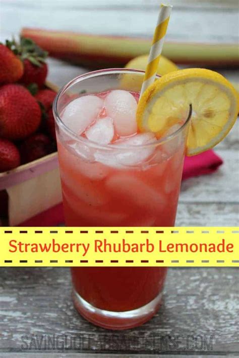 11 Refreshing Rhubarb Drink Recipes Sustain My Cooking Habit