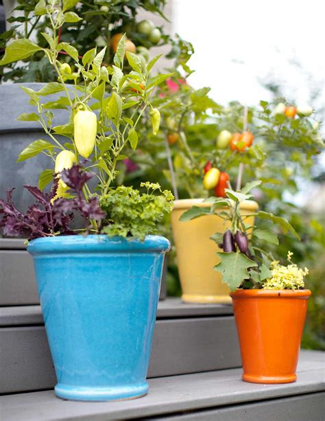 19 Container Vegetable Garden Ideas Better Homes And Gardens