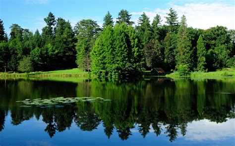 Papéis De Parede França Paisagem árvores Vegetação Lago Reflexão