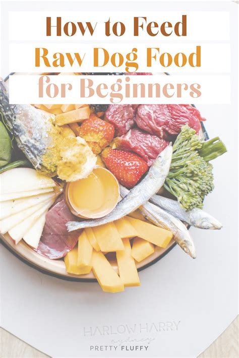Raw Dog Food For Beginners The Ultimate Raw Guide 2023