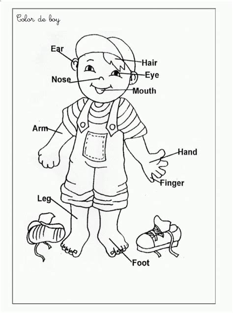 Printable Coloring Pages Body Parts Preschool Body Parts For Kids