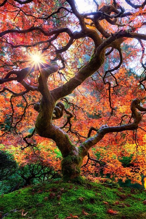 Take A Beautiful Fall Foliage Road Trip To See Oregon