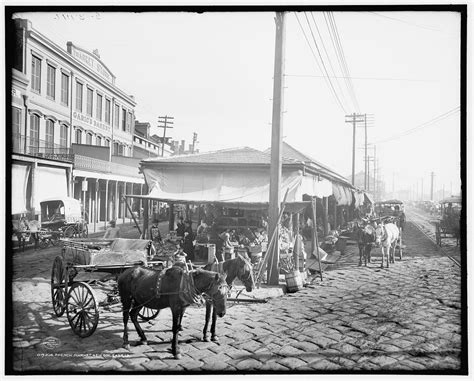 Detroit Publishing Collection New Orleans La 1890