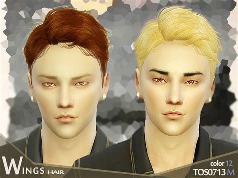 The Sims Resource Hair Tos0713 For Him By Wingssims