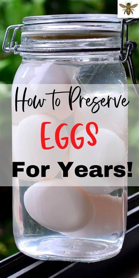 How To Preserve Eggs Using Lime Water