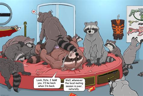 Rule If It Exists There Is Porn Of It Strega Rocket Raccoon