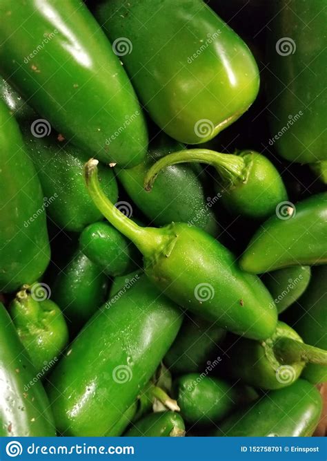 Farm Fresh Organic Jalapeno Peppers Stock Image Image Of Stand