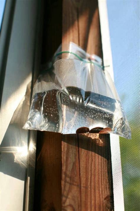 Sometimes i'd also end up getting distracted and not get anything accomplished before i. Water and pennies in ziploc baggie to keep flies away ...