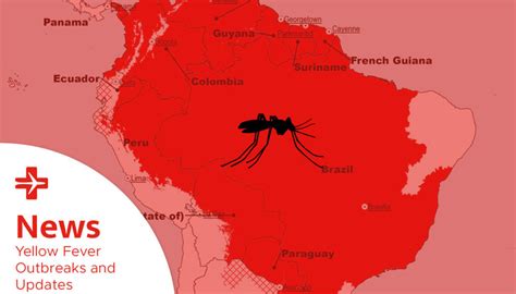 Yellow Fever Outbreaks And Updates Travelsafe Immunization Clinic