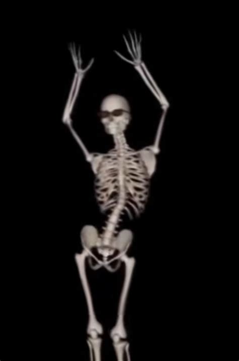 Skeleton Pics Funny Skeleton Funny Profile Pictures Reaction