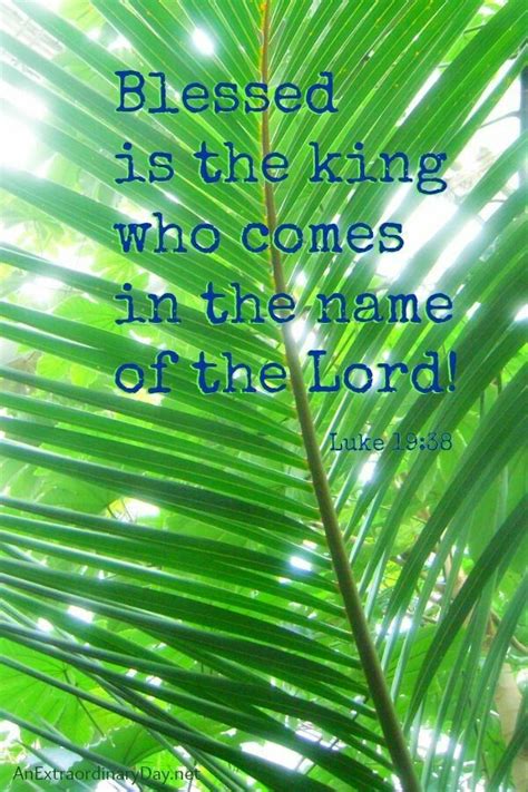 Palm sunday is the last sunday during the lenten season and commemorates jesus' entry into jerusalem before his arrest. Pin by Micah Estevez on PALM SUNDAY | Palm sunday quotes ...