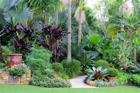A Garden Filled With Lots Of Different Types Of Trees And Plants In