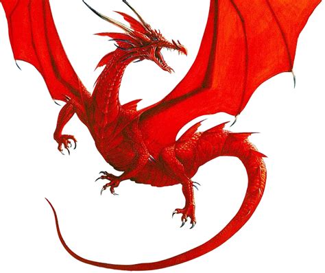 Red Dragon Pictures Images Clipart Best