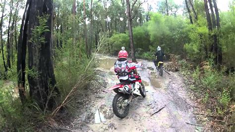 Any of the bikes i've already talked about in this article would be perfectly fine for a. Dirt Bike, Trail Riding Neerim South Victoria Australia ...