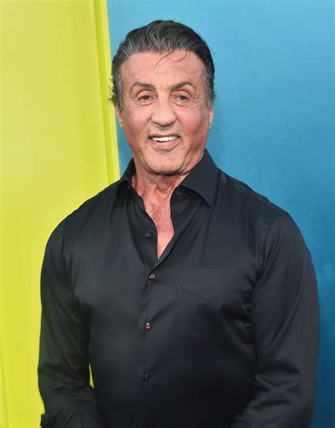 Sylvester Stallone Sylvester Stallone Sexual Assault Case Under Review Time Official