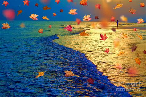 Fall At The Beach Photograph By Cindy Piper Fine Art America