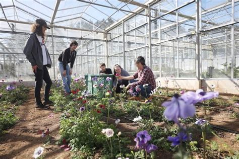 Rhs Level 2 Certificate In The Principles Of Horticulture Cornwall