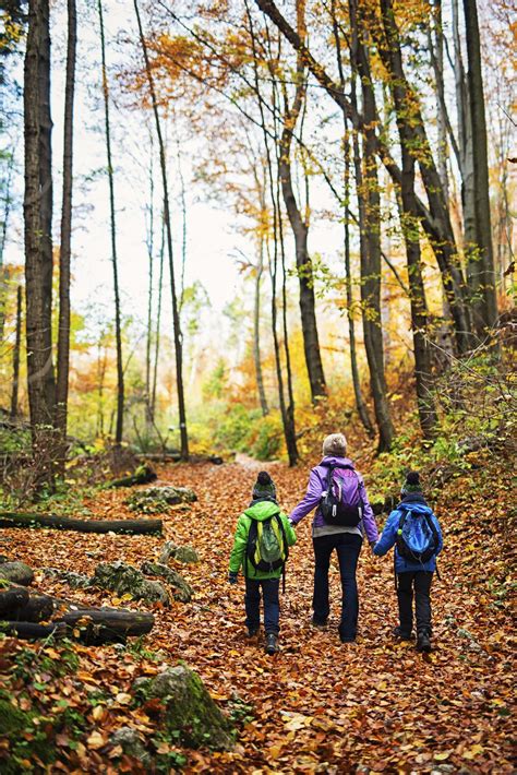 62 Best Fall Activities For Families Near You Autumn Activities Fun