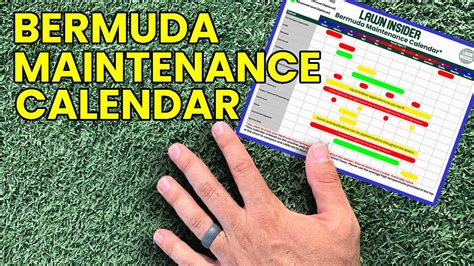 How To Take Care Of Bermuda Grass Bermuda Grass Maintenance Calendar