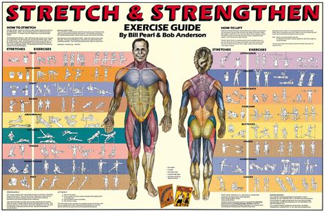 Different Exercises And Stretches For The Body Workout Posters