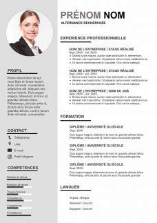 Zety's cv template guides are the concierge you dream of being. Cv Vierge A Completer