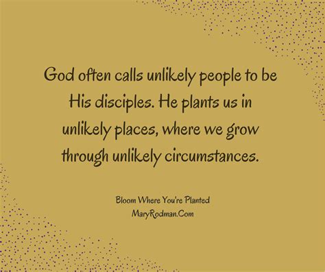 Maybe you would like to learn more about one of these? Quote from Bloom Where You're Planted by Mary Rodman ...