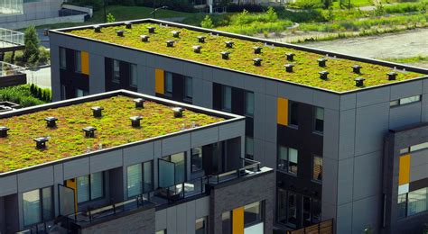 Green Roofing Systems Sorensen Roofing And Exteriors