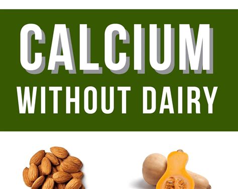 Top Dairy Free Sources Of Calcium Infographic