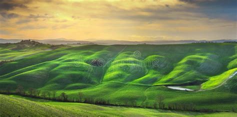 Tuscany Panorama Rolling Hills Trees And Green Fields Italy Stock