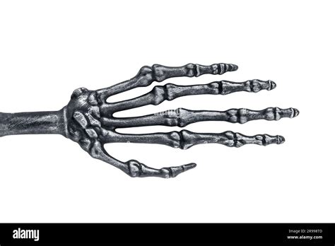 Spooky Halloween Skeletal Hand Isolated On White Background With